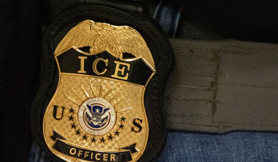 Man fleeing immigration officers in Florida is struck and killed by tractor trailer, police say