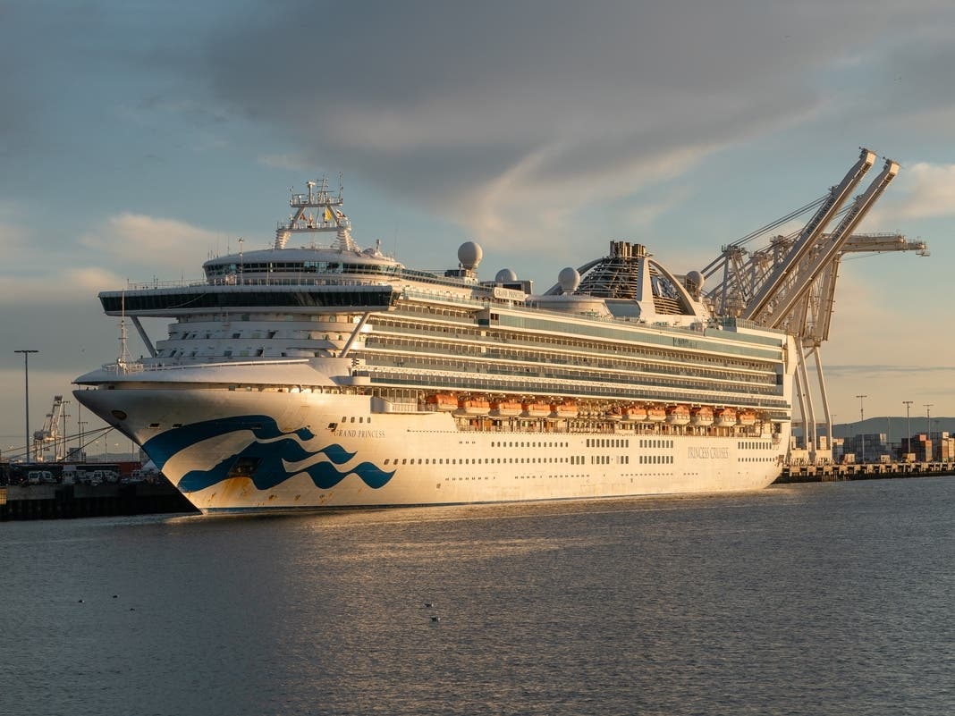 ‘Heavily intoxicated’ cruise passenger accused of beating up kids playing tag