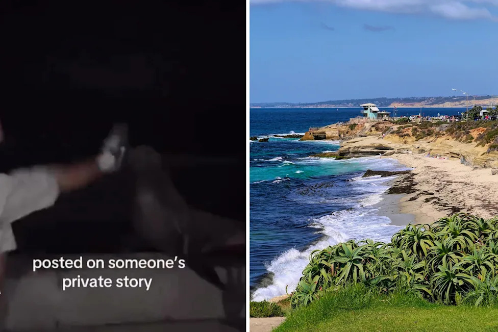 Federal officials investigate after a video appears to show a person kicking a California sea lion