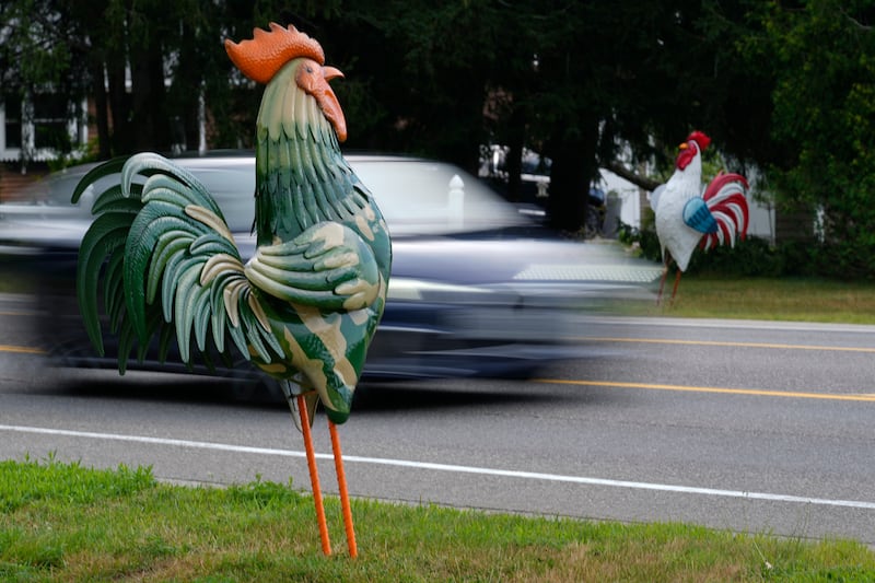 Giant metal roosters spread autism acceptance in Maine after town zoning spat