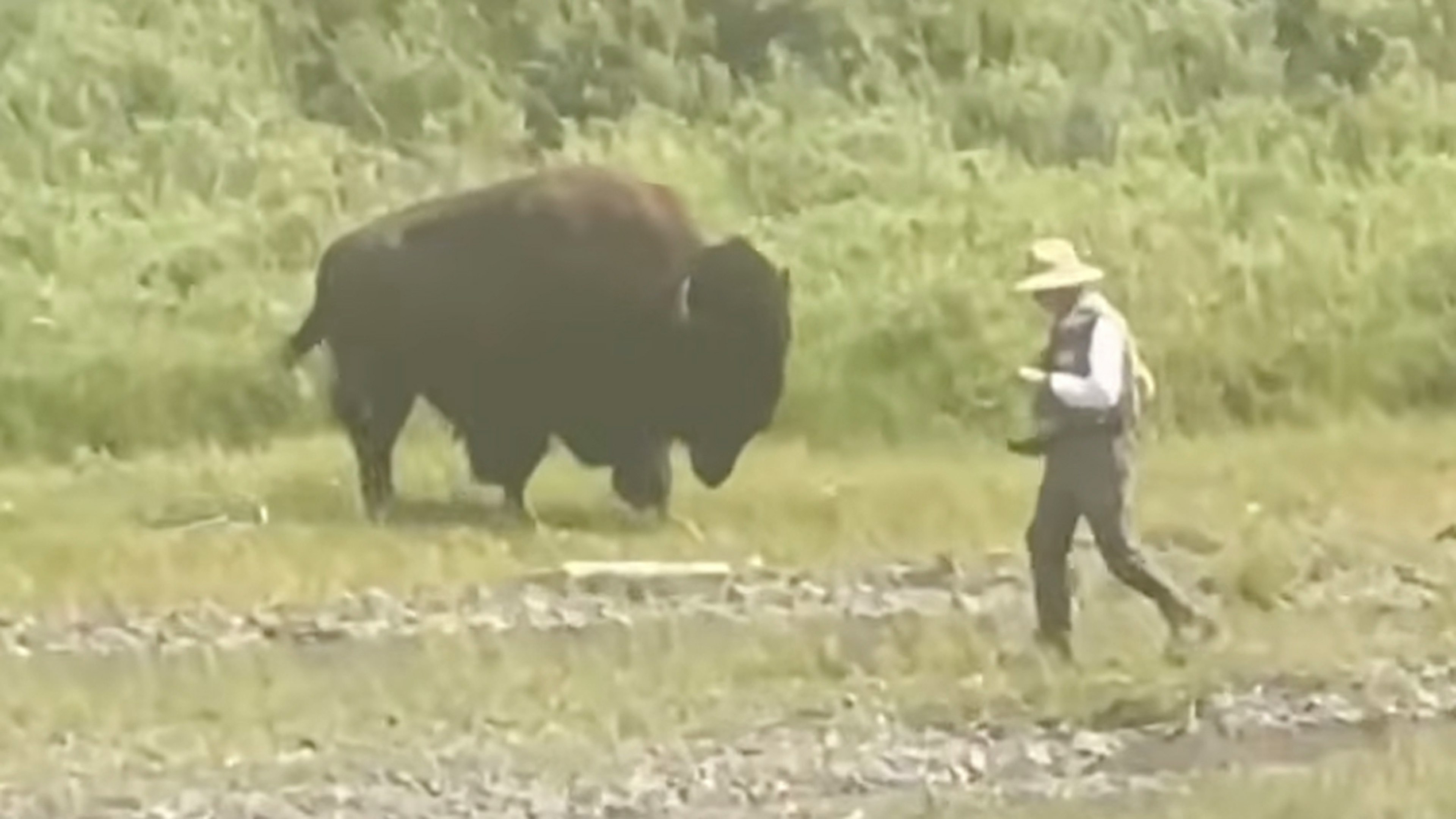 The fisherman, the man alerted to the bison