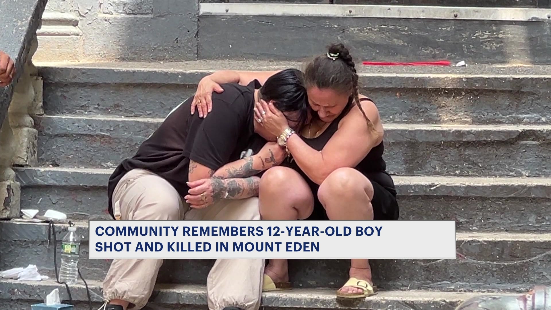 Jacob Freytes, the 12-year-old killed in the Bronx shooting
