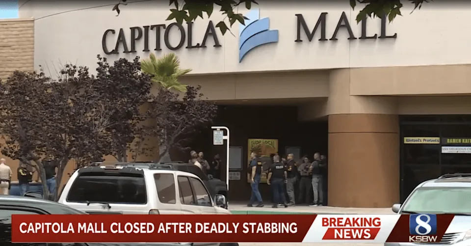California mall stabbing suspect’s twisted past revealed — before butchering beloved artist