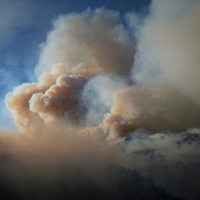 Wildfire smoke kills tens of thousands of people a year. Here’s how it attacks the body