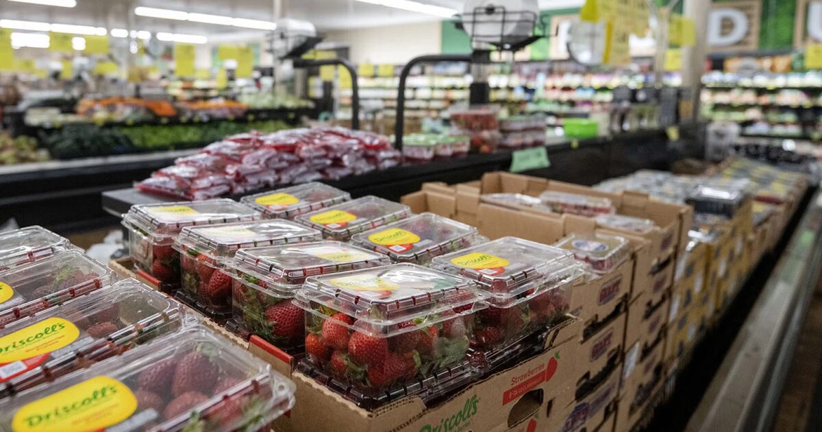 Gas, groceries and back-to-school items are where shoppers might see higher oil prices surface