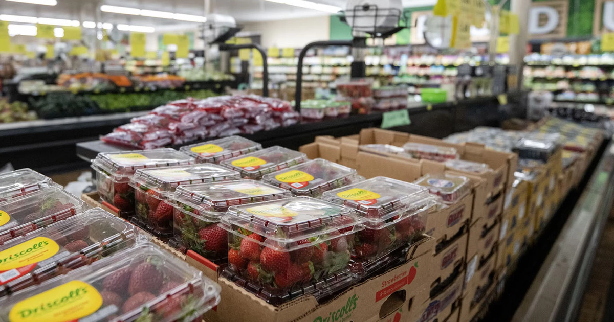 Gas, groceries and back-to-school items are where shoppers might see higher oil prices surface