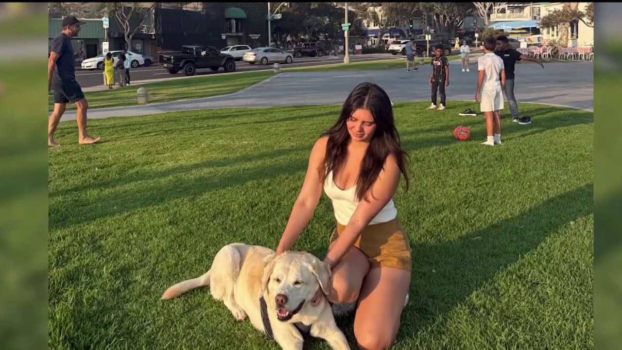 Fists fly as two men and their dogs brawl at popular San Diego tourist destination in wild video