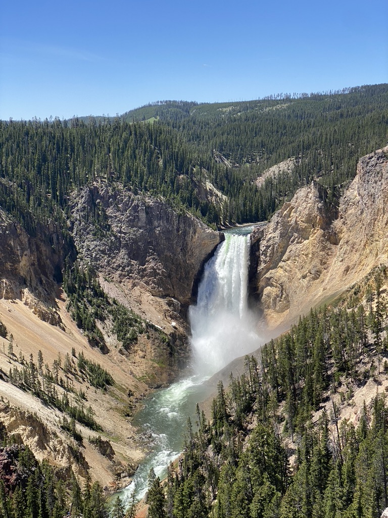 Kristi Wilt, the witness who recorded the Yellowstone encounter