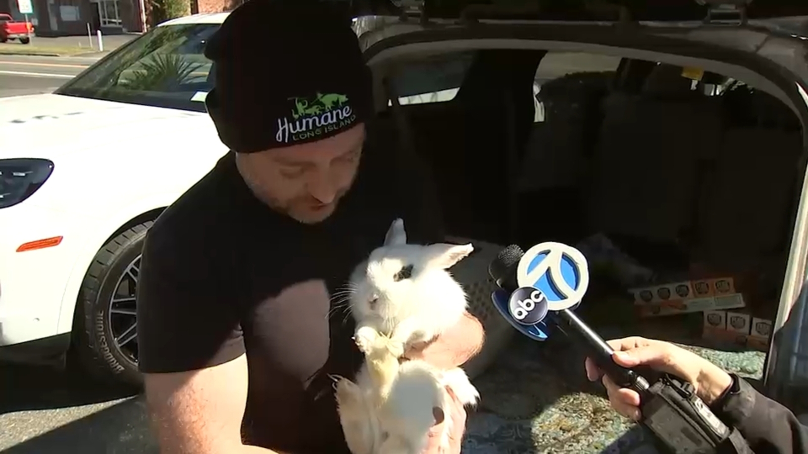 70 sad-looking chickens plucked out of ‘torturous conditions’ in Long Island house