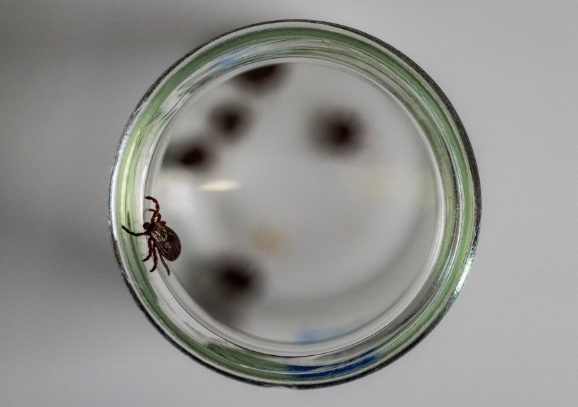Michael Larkin, the Long Island resident diagnosed with Bourbon virus