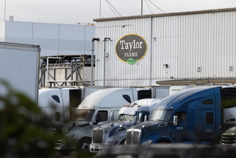 FDA still focused on lettuce supplier as source of parasite, despite faulty test result