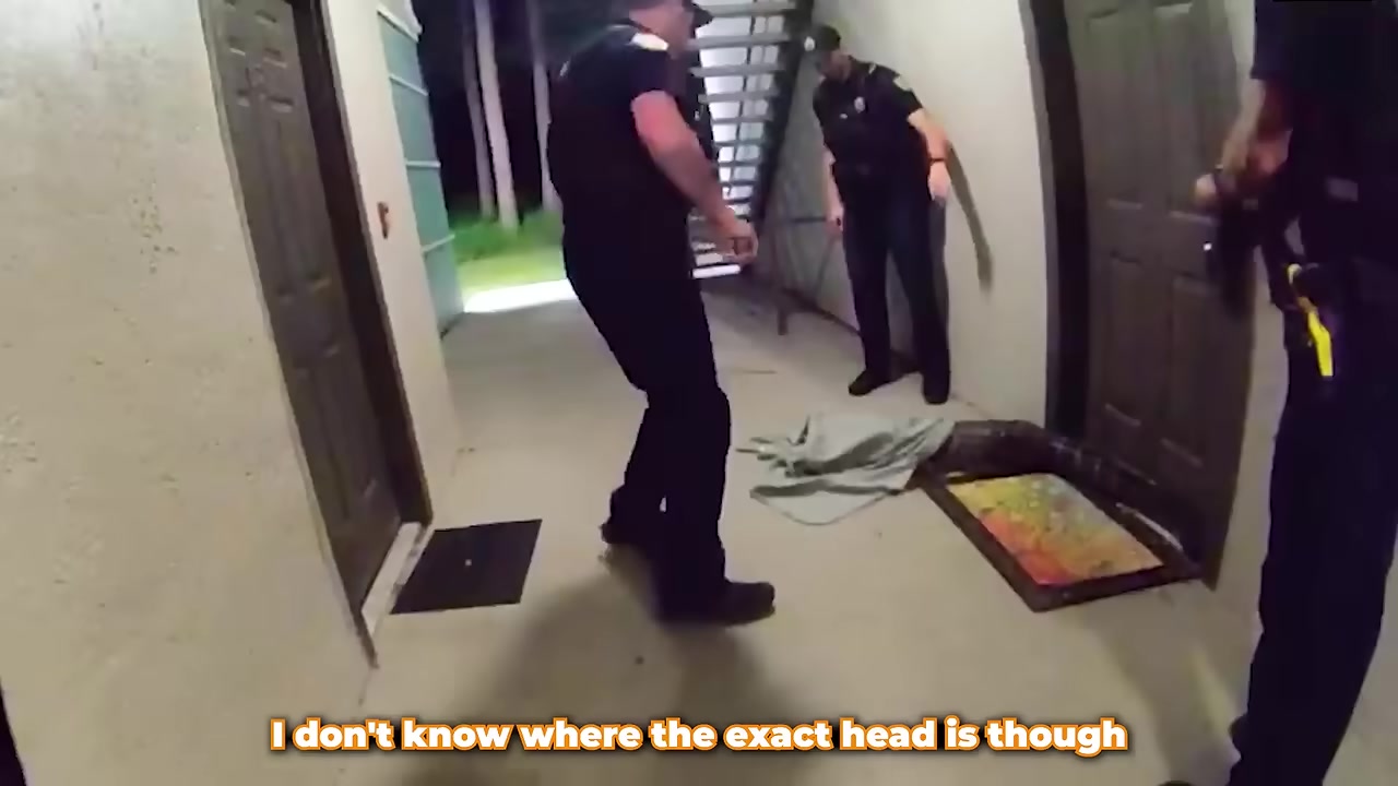 Officers attempt to cover the gator's head with a light blanket while it thrashes in the hallway