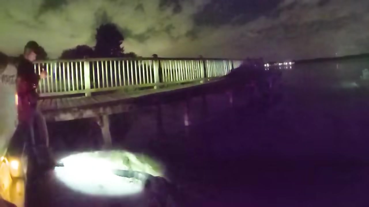 Officers release the taped gator toward the water as it thrashes angrily on the ground