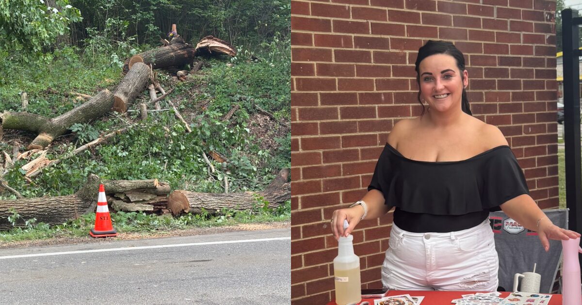 Ohio mom of 3 killed when massive tree crashes onto SUV in freak highway accident