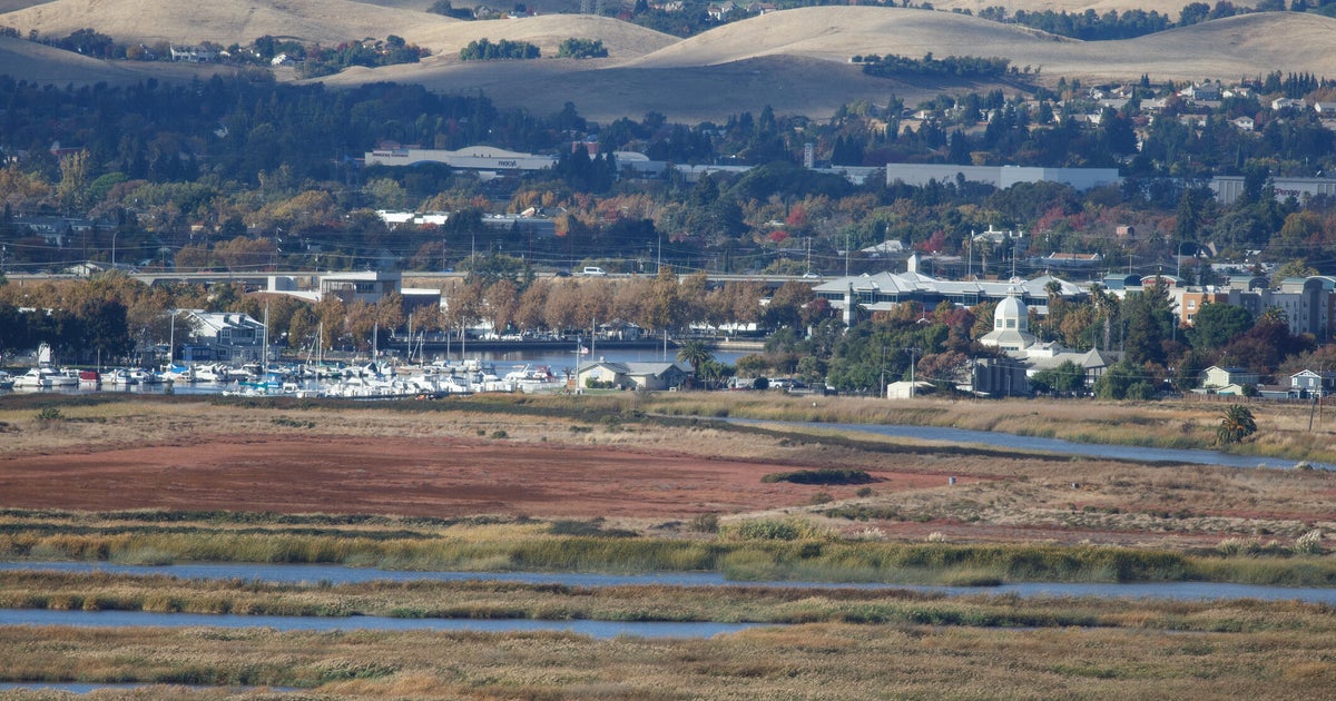 Suisun City officials managing the city's emergency response to the cyberattack