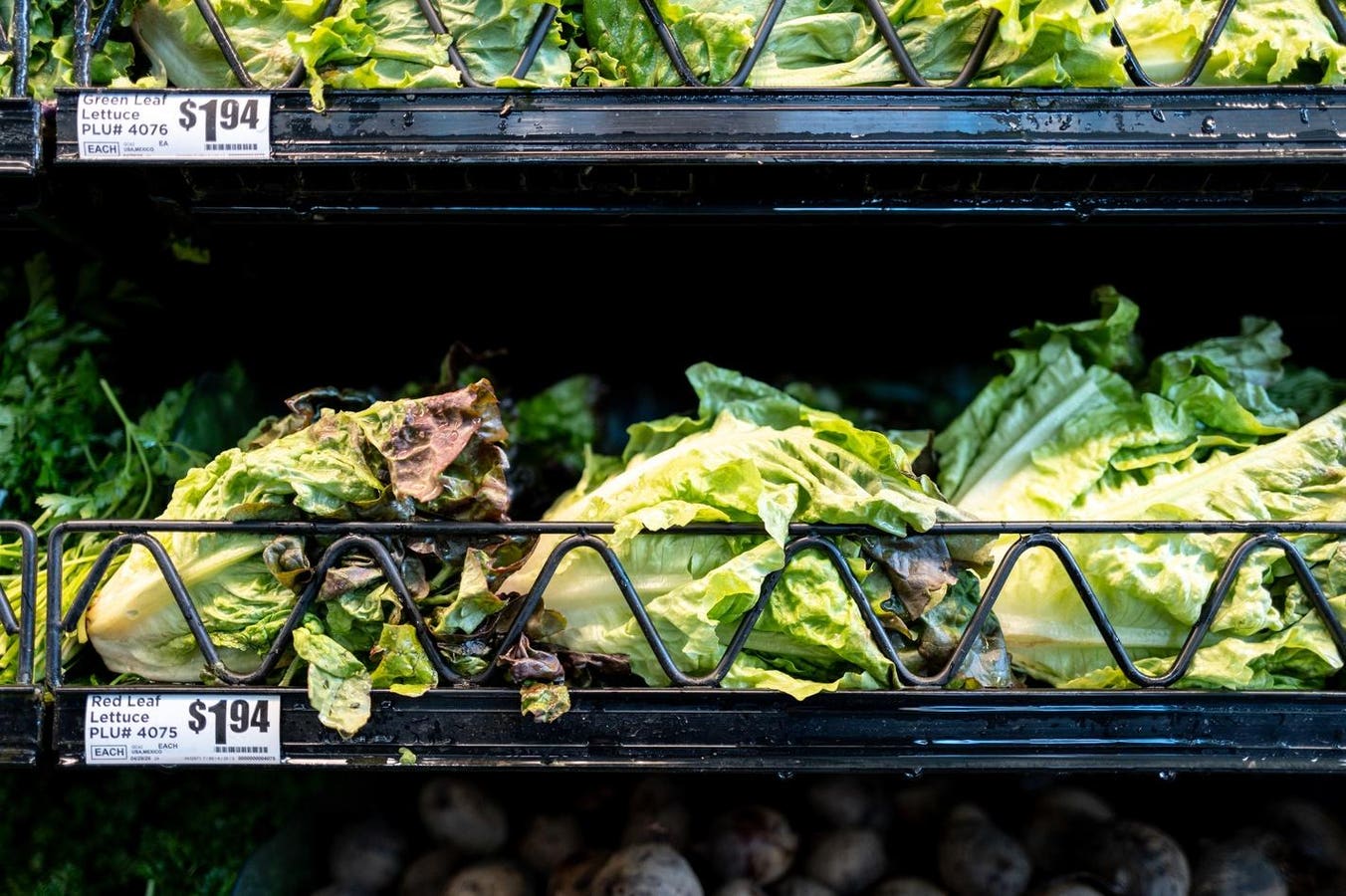 Michigan reports first 2 US deaths in outbreak of cyclospora