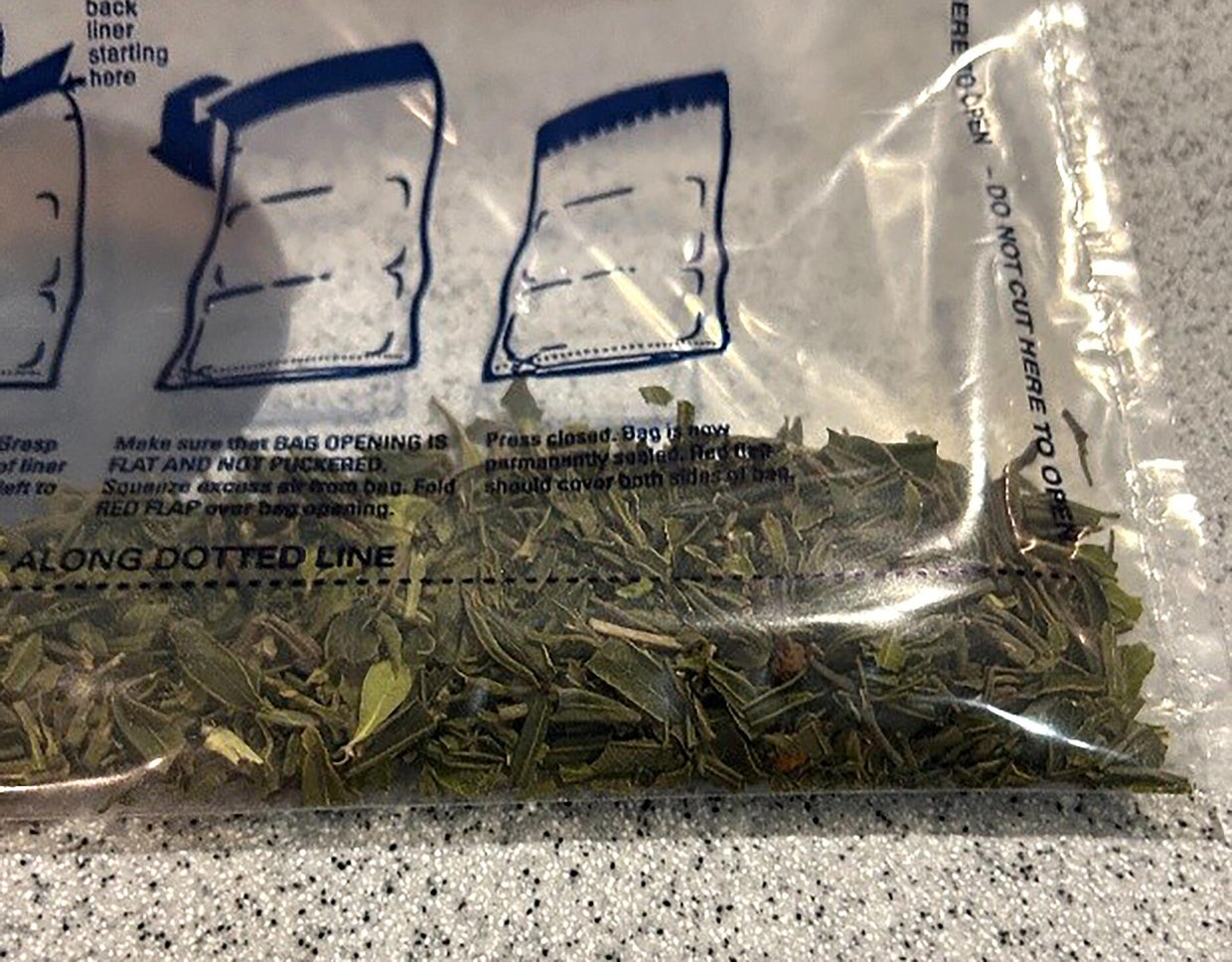 NY men busted at Maryland airport for hauling roughly 850 pounds of khat on flight from London