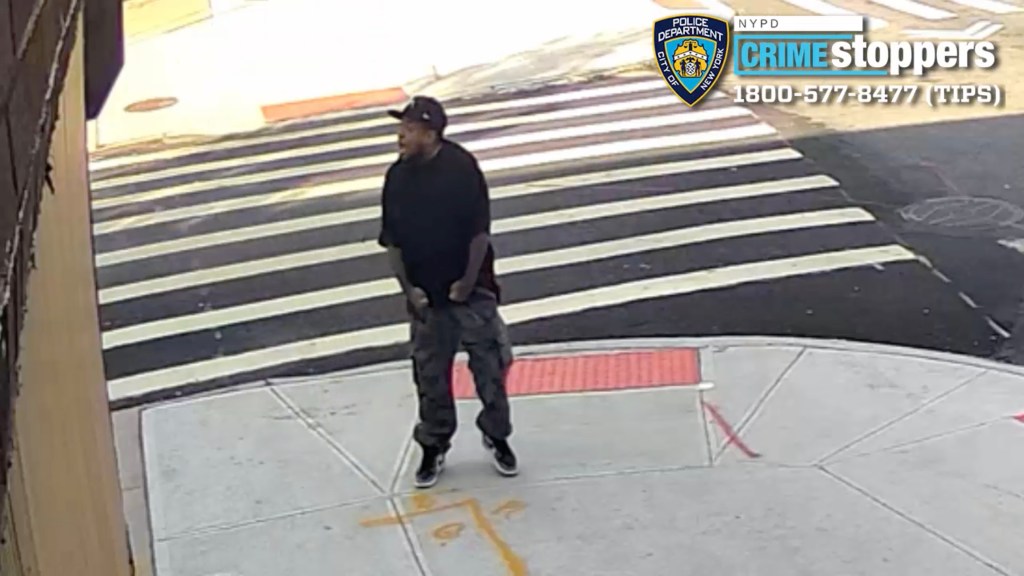 Ruthless gunman who injured adorable service dog arrested for wild shooting on NYC street: cops
