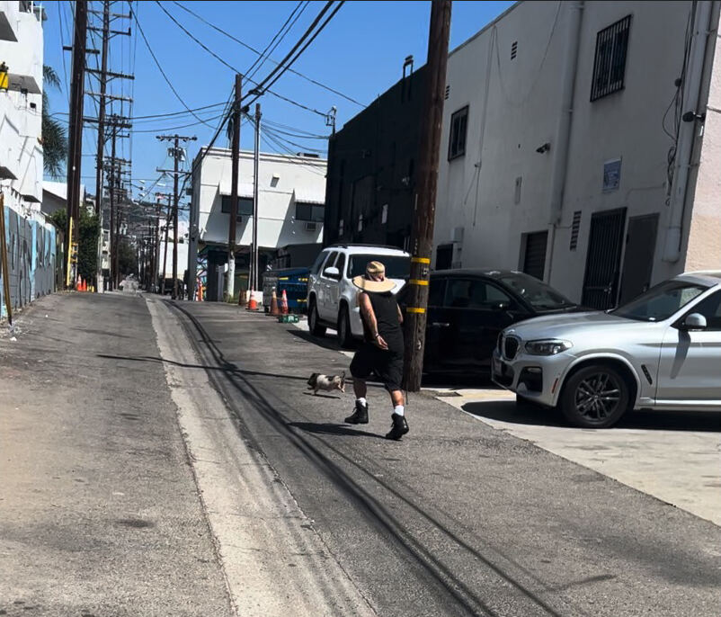 A-list songwriter adopts runaway West Hollywood piglet ‘Wilbur’