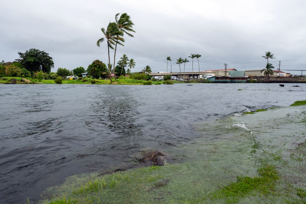 Hurricane Lala strengthens as Hawaii faces first potential Big Island hit in 155 years