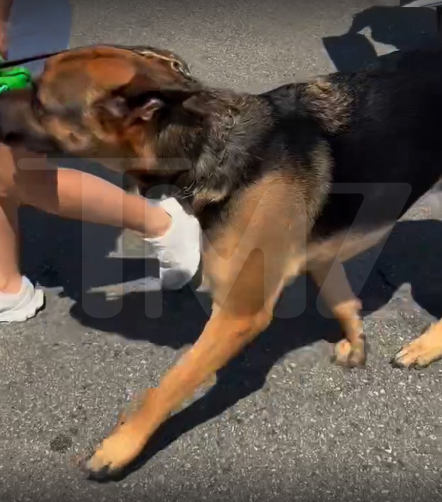 Woman rages at dog owner walking pet on hot SoCal parking lot amid scorching heatwave: ‘This is animal abuse!’