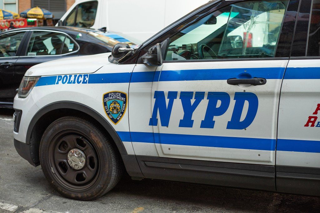 Crazed stranger randomly shoves woman onto NYC train tracks, then walks into psych clinic: cops, sources