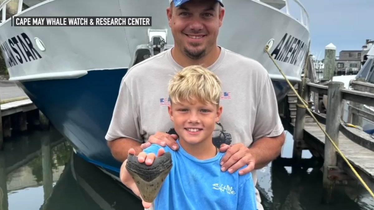 Massive Megalodon tooth found by 11-year-old boy on holiday