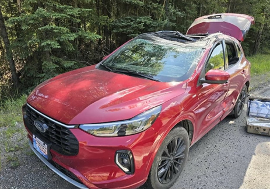 Mom of two killed in freak accident as plane making emergency landing hits her car
