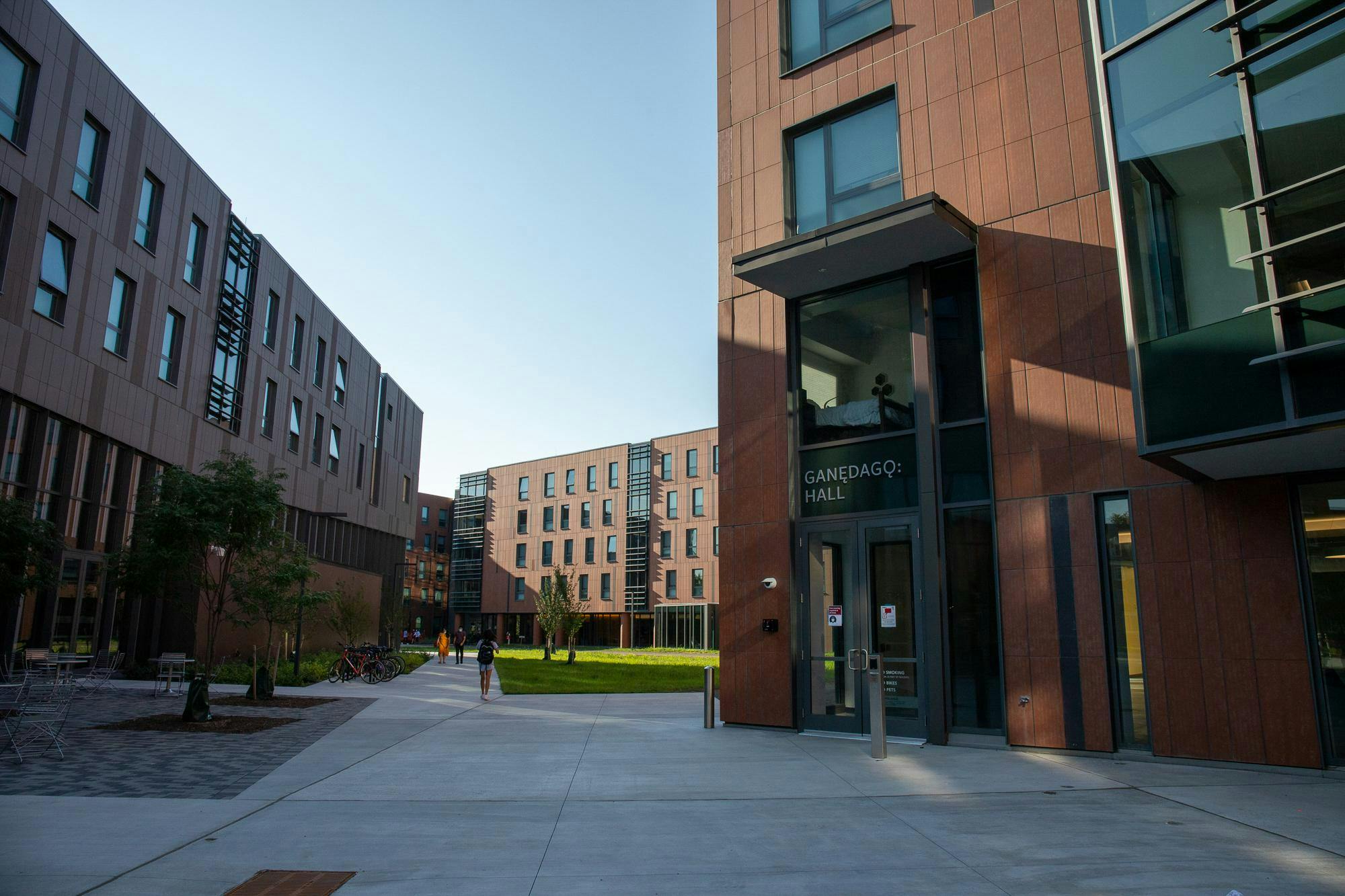 Cornell bans wild game butchering after students carved up bear in dorm kitchen