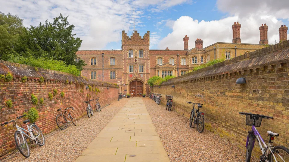 Historic Cambridge professor resigns after investigation into plagiarism of PhD dissertation