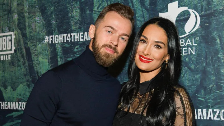 Twin sister Brie Bella supporting Nikki through her post-divorce journey