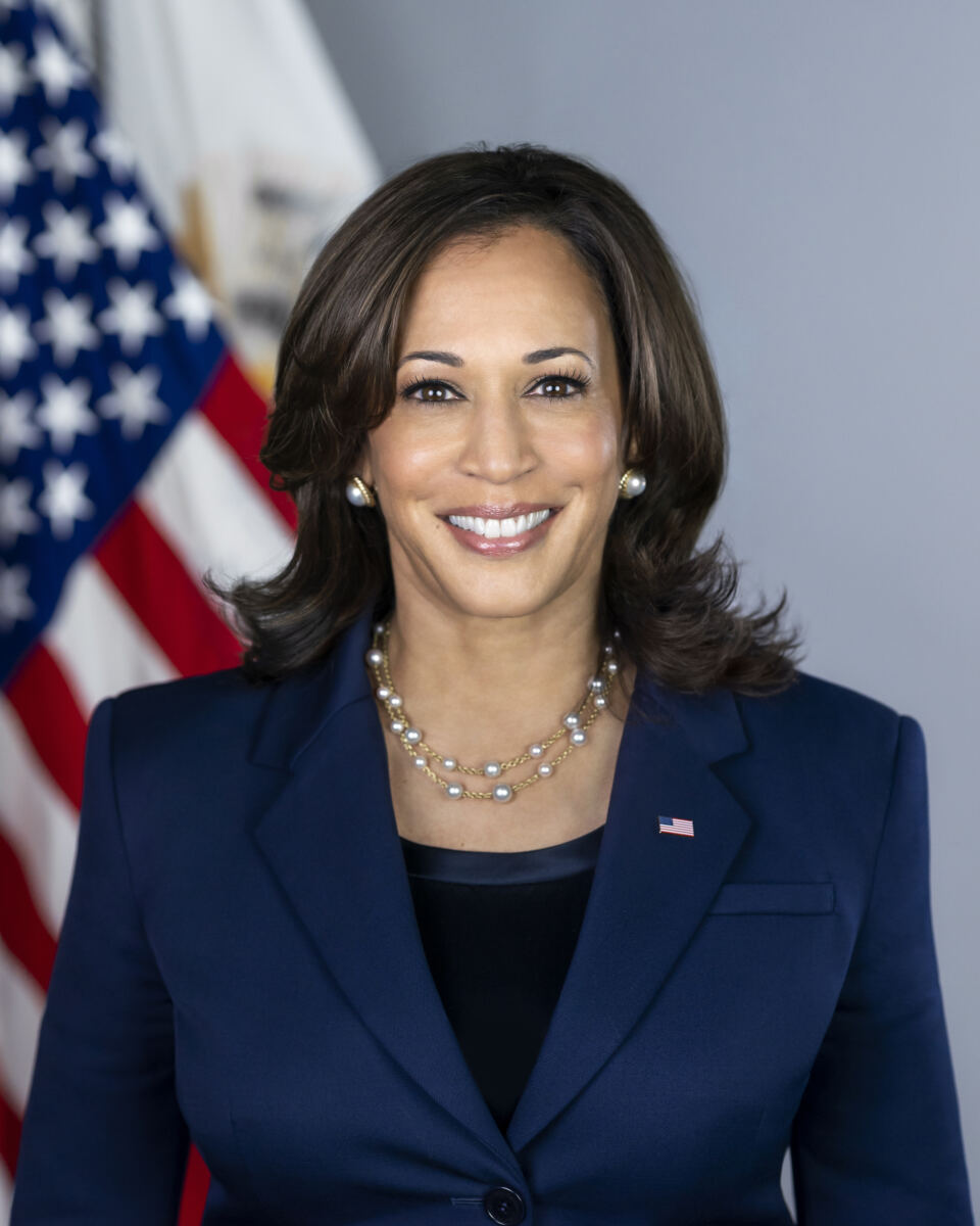 Ex-Obama advisor claims US 'isn't ready' to elect a woman president