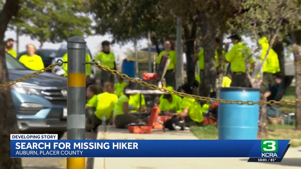 Desperate search for hiker, 24, who vanished in California canyon prowled by bears, lions and snakes