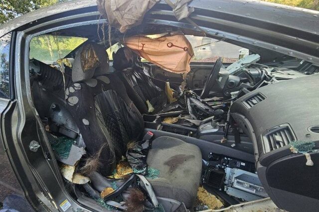 Black bear found dead after spending days trying to escape locked car