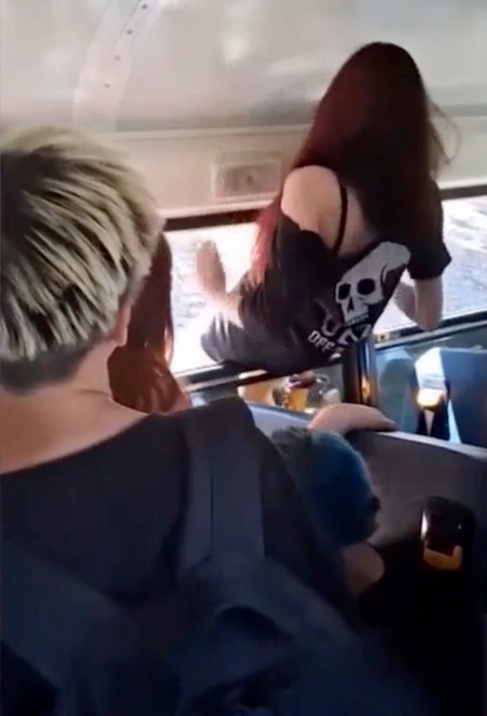 Mayhem on California school bus as parents smash inside and kids forced to climb out windows
