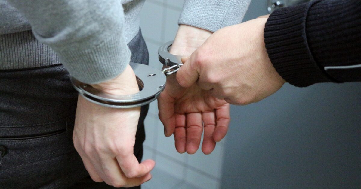 69 live animals found stuffed in pillowcases in hidden car compartment after border arrest: Feds