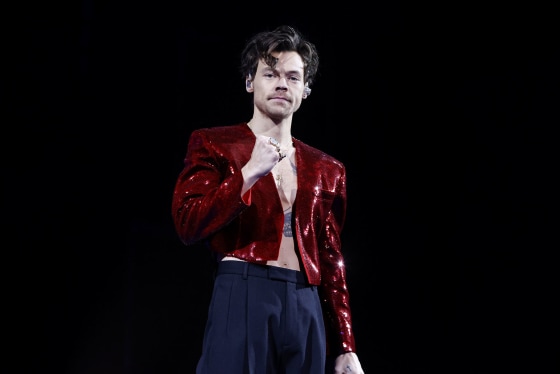Harry Styles addressing the Mexico City crowd after recovering from the stage fall.