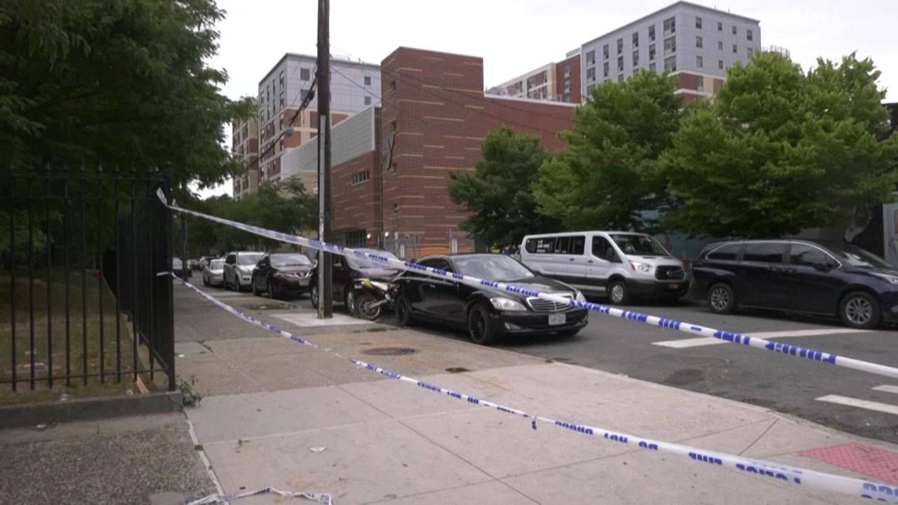 Two gunmen facing 88 charges for NYC shooting that injured 8, killed puppy at July 4th cookout: DA