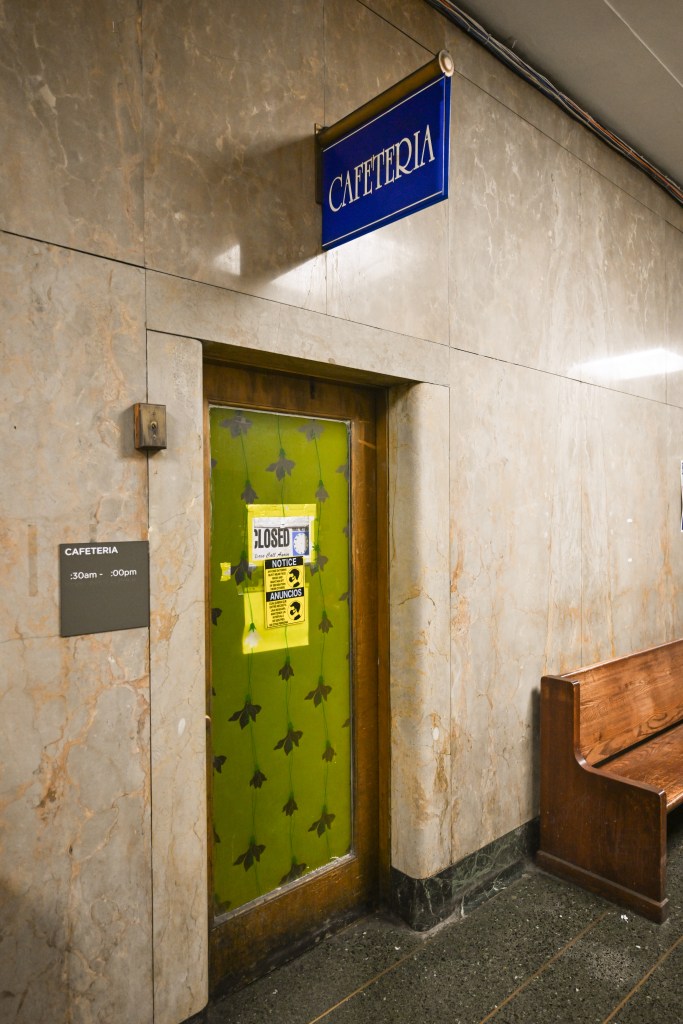 Manhattan Criminal Court cafeteria crawling with mice, roaches, inspections find