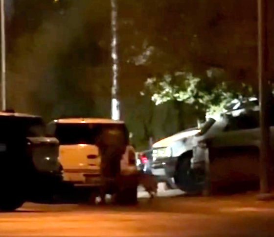 Horrific video appears to show Las Vegas cop kicking and dragging police dog during arrest