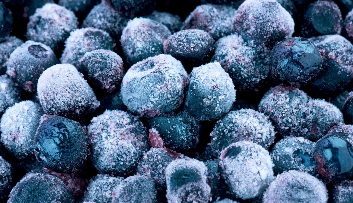 Publix frozen blueberries recalled by FDA now issued highest risk warning due to E. Coli strain