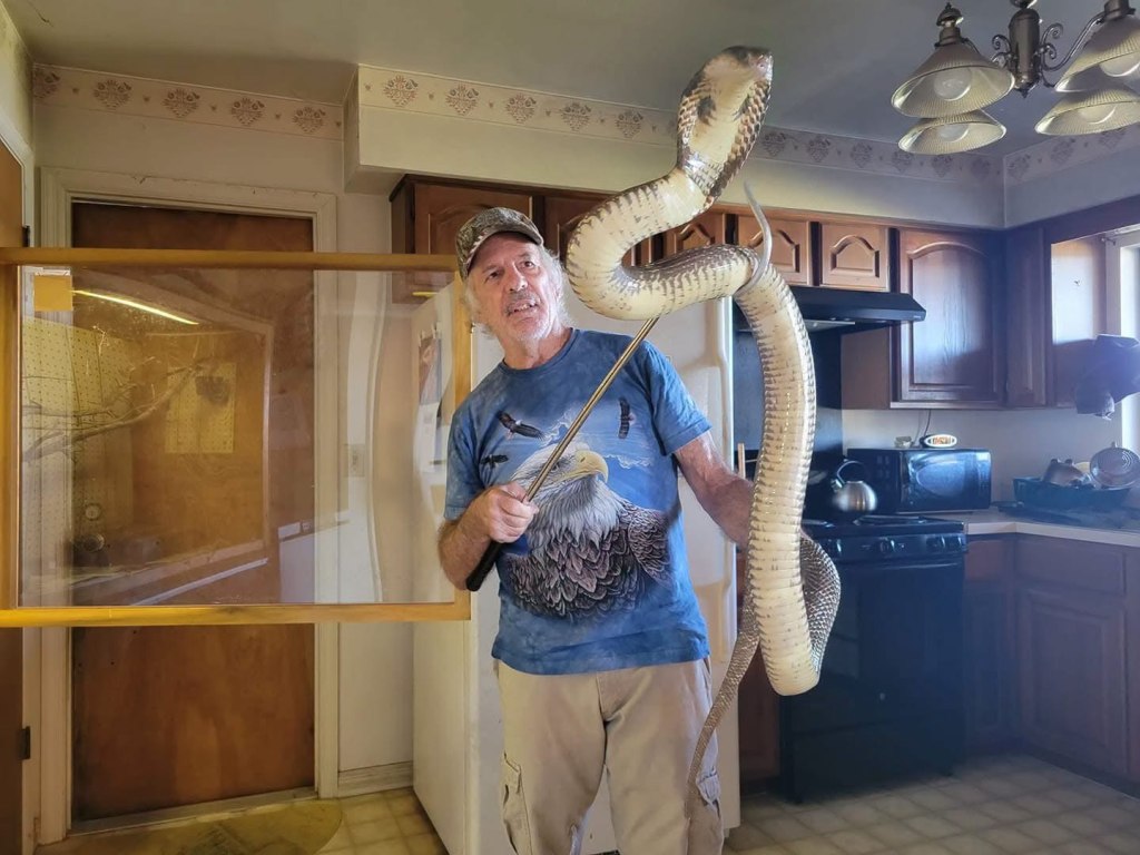 Animal Planet star killed in hit and run while looking at snake