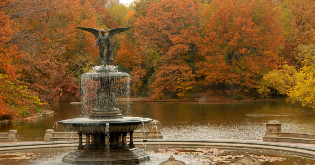 Central Park Conservancy execs rolling in green — including CEO who rakes in $1.2M salary after massive raise: records