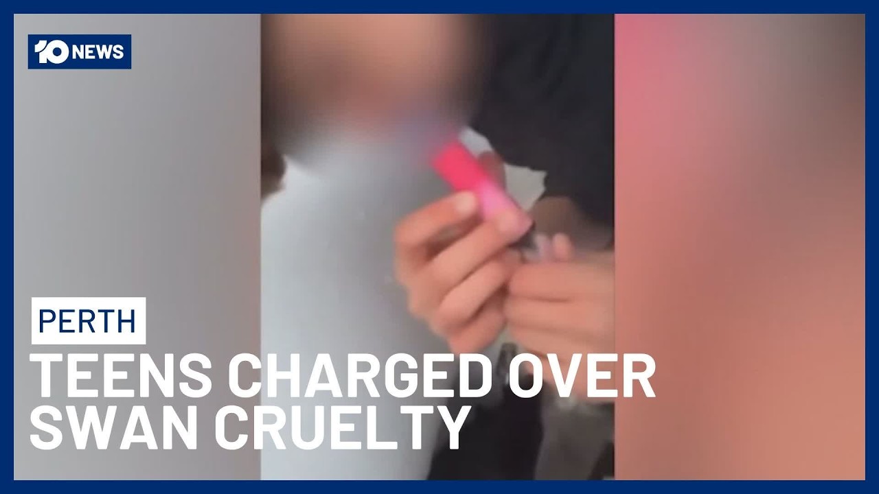 Teens force swan to vape, charged with animal cruelty