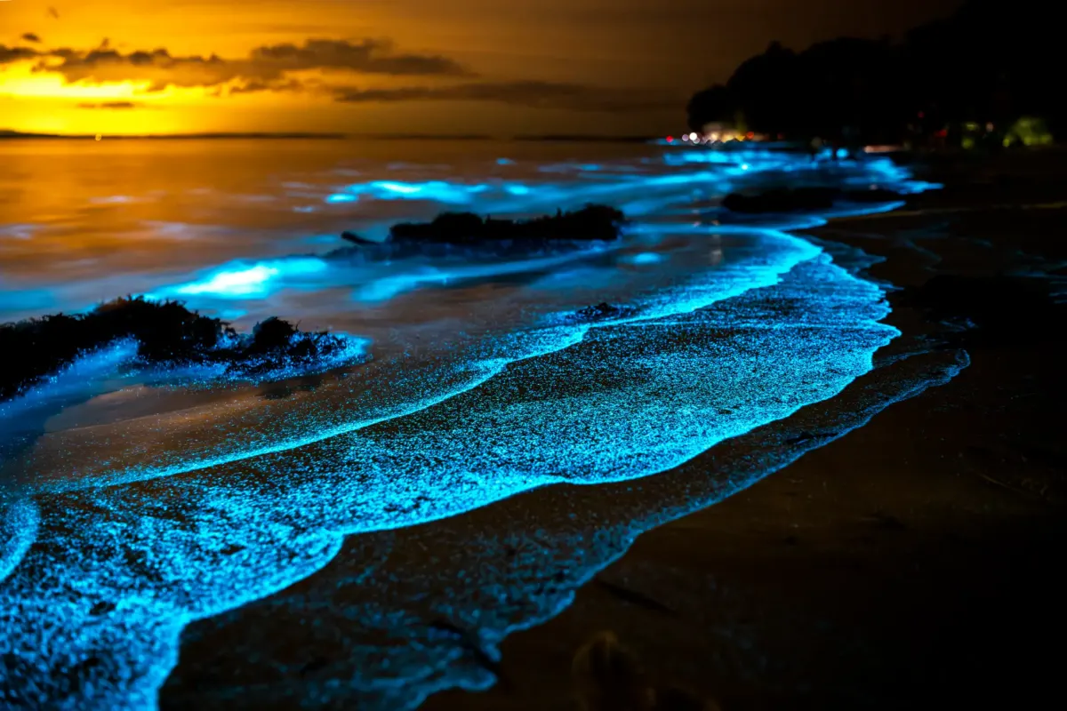 Maldives' Sea of Stars debunked after landing near-perfect rating but not actually existing