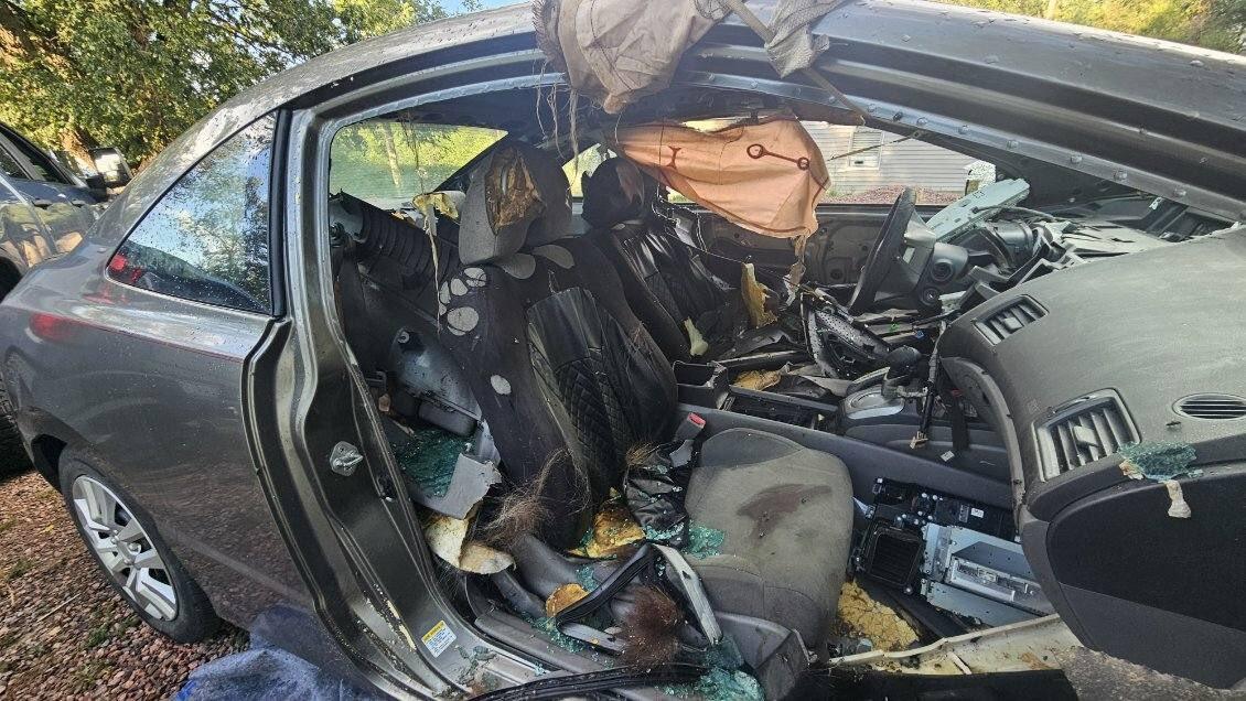 Black bear found dead after spending days trying to escape locked car
