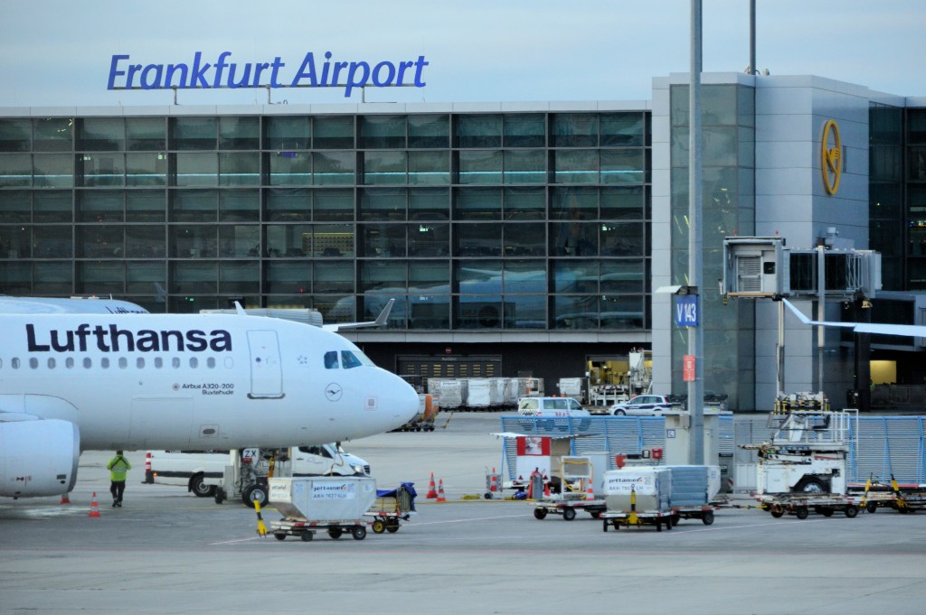 Two workers at Germany’s busiest airport die of malaria after mosquitoes arrive on plane