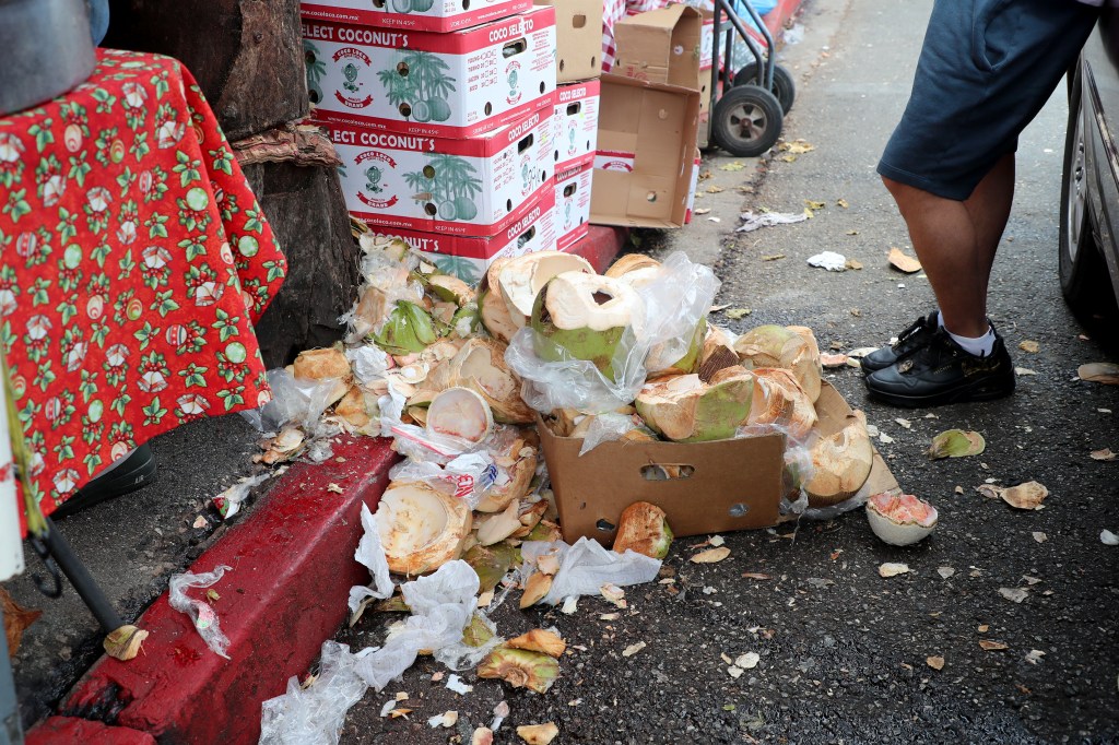 Dog-eaten meat, rats and urine: Stomach-churning details of 10K LA street food complaints revealed
