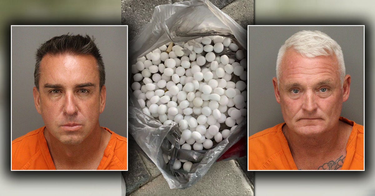 Florida business owners allegedly scattered 1,500 mothballs on beach to scare off endangered birds