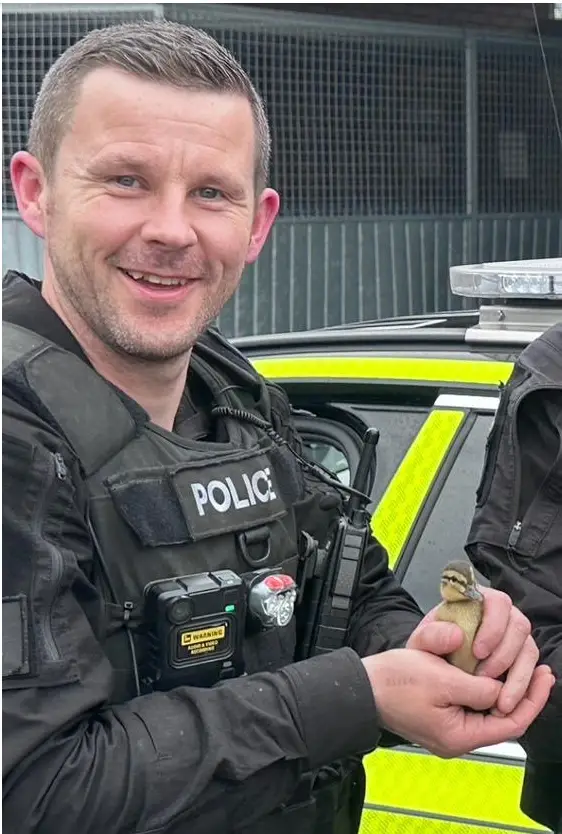 Family of police officer killed in A66 crash with car driving wrong way down motorway pay tribute
